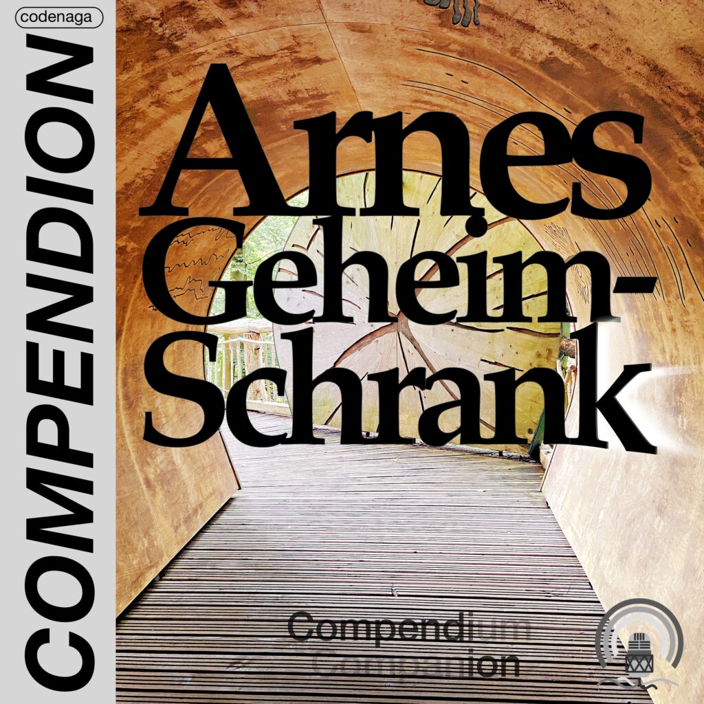 Cover von Arnes Geheimschrank
